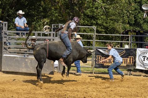 Keith Barnett, Murray W. . Cody custer bull riding school